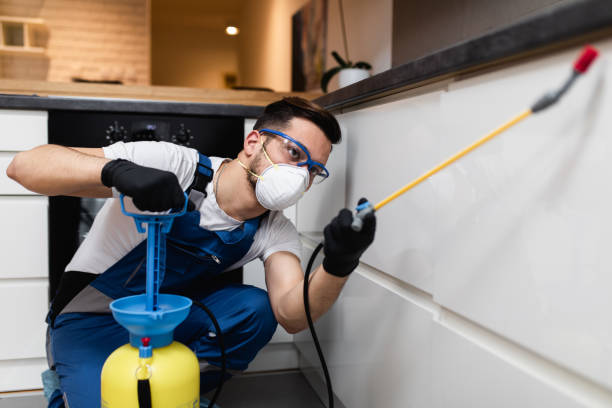 Best Wasp Removal Services  in Dodgeville, WI