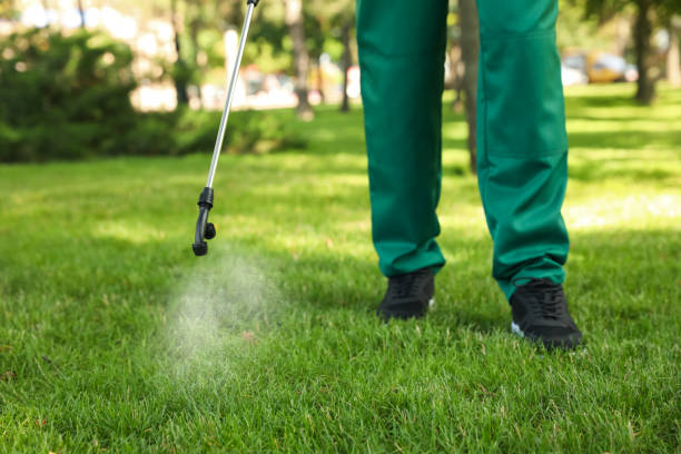 Wasp Removal Services in Dodgeville, WI
