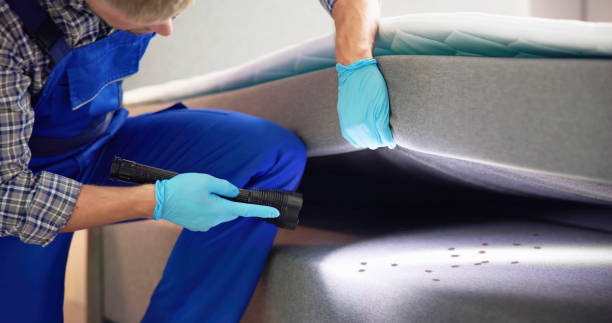 Best Best Pest Control Companies  in Dodgeville, WI
