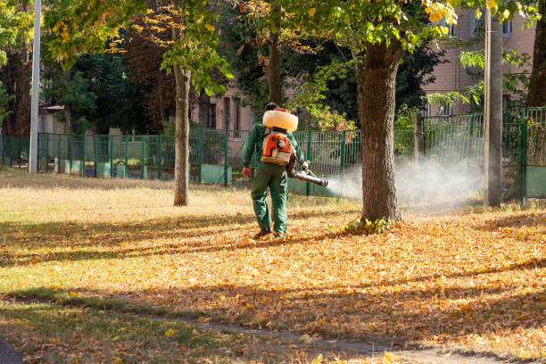 Best Mosquito Control Services  in Dodgeville, WI