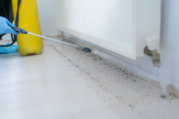 Best Termite Control Services  in Dodgeville, WI