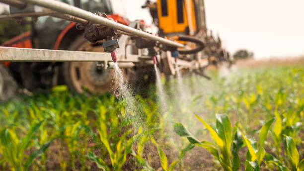 Wildlife Control Services in Dodgeville, WI