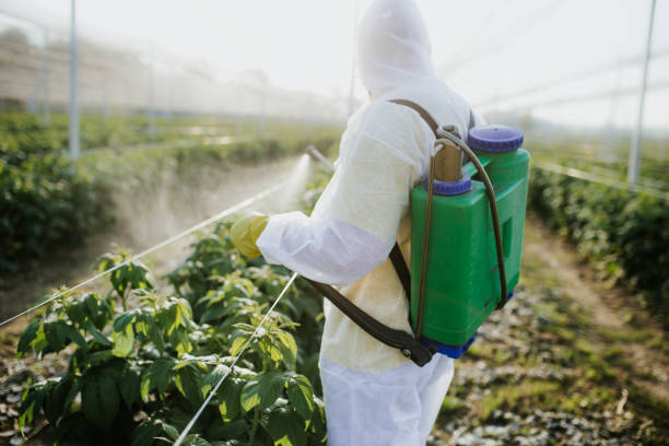 Best Commercial Pest Control Services  in Dodgeville, WI